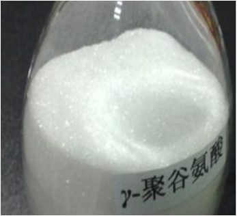 普魯蘭多糖、聚-γ-谷氨酸生產(chǎn)工藝創(chuàng)新點(diǎn)